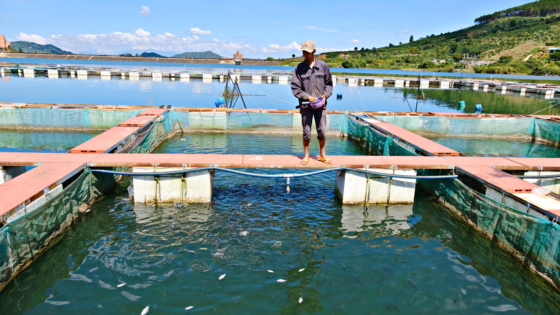 Hồ Ka La (Di Linh) là 1 trong 13 hồ lớn xuống cấp nhưng chưa có kinh phí sửa chữa