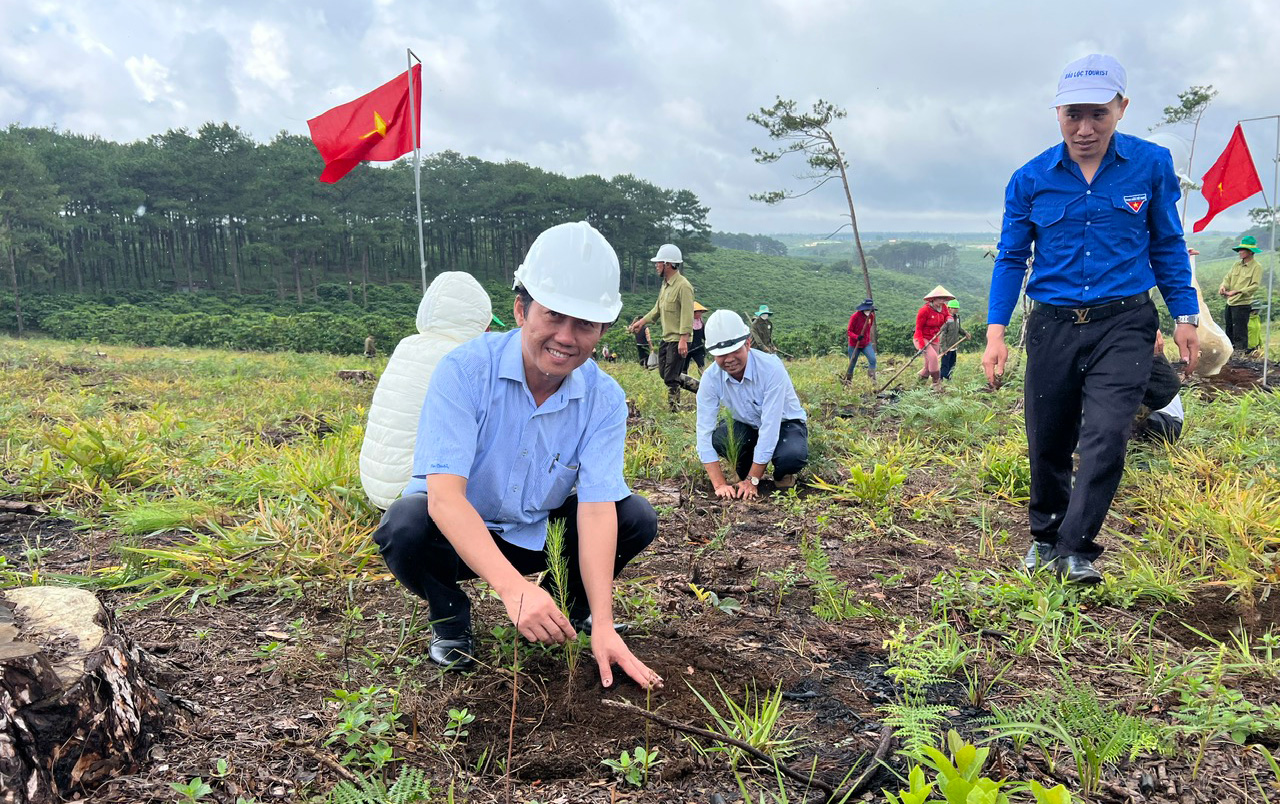 Hướng tới kỷ niệm 30 năm Ngày thành lập huyện Bảo Lâm: Điểm sáng thực hiện hiệu quả chính sách chi trả dịch vụ môi trường rừng