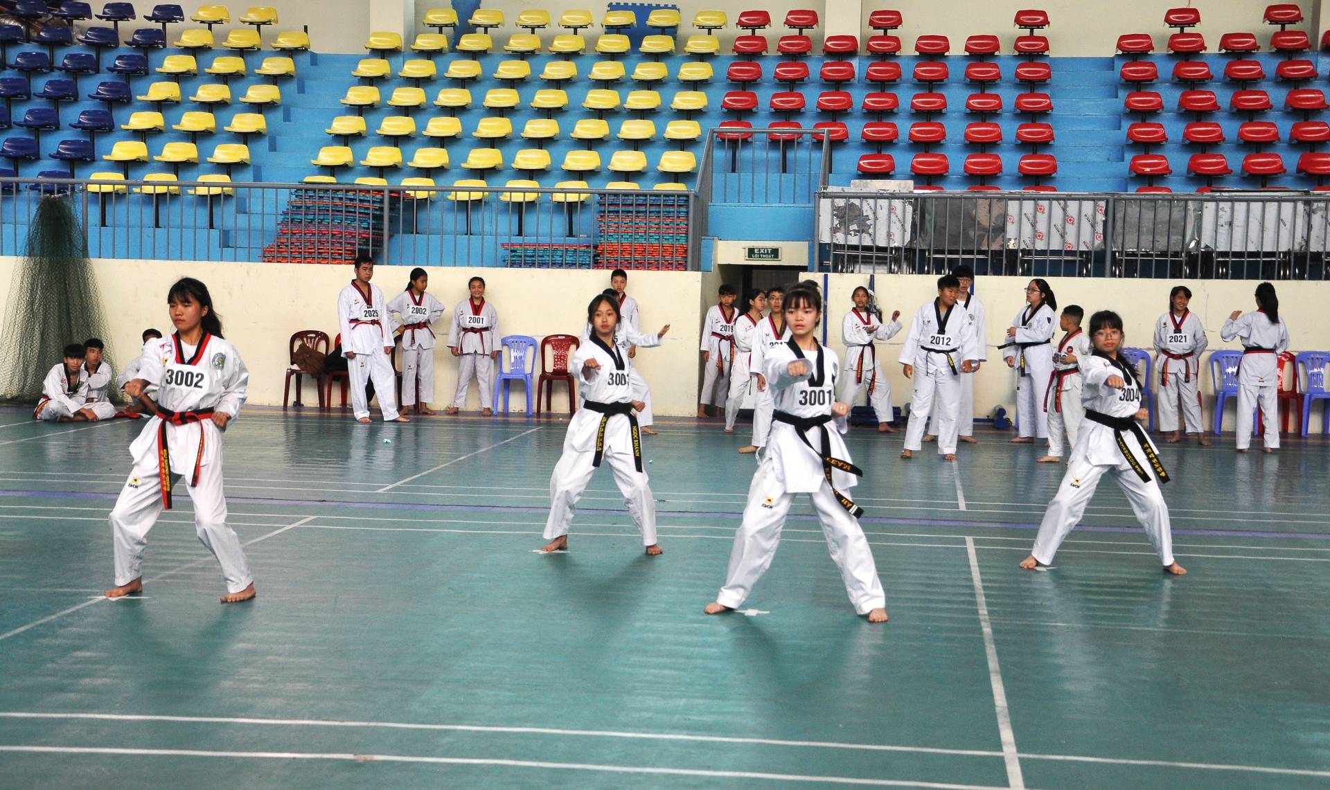 240 môn sinh Teakwondo thi lên đai đen 1, 2, 3 đẳng