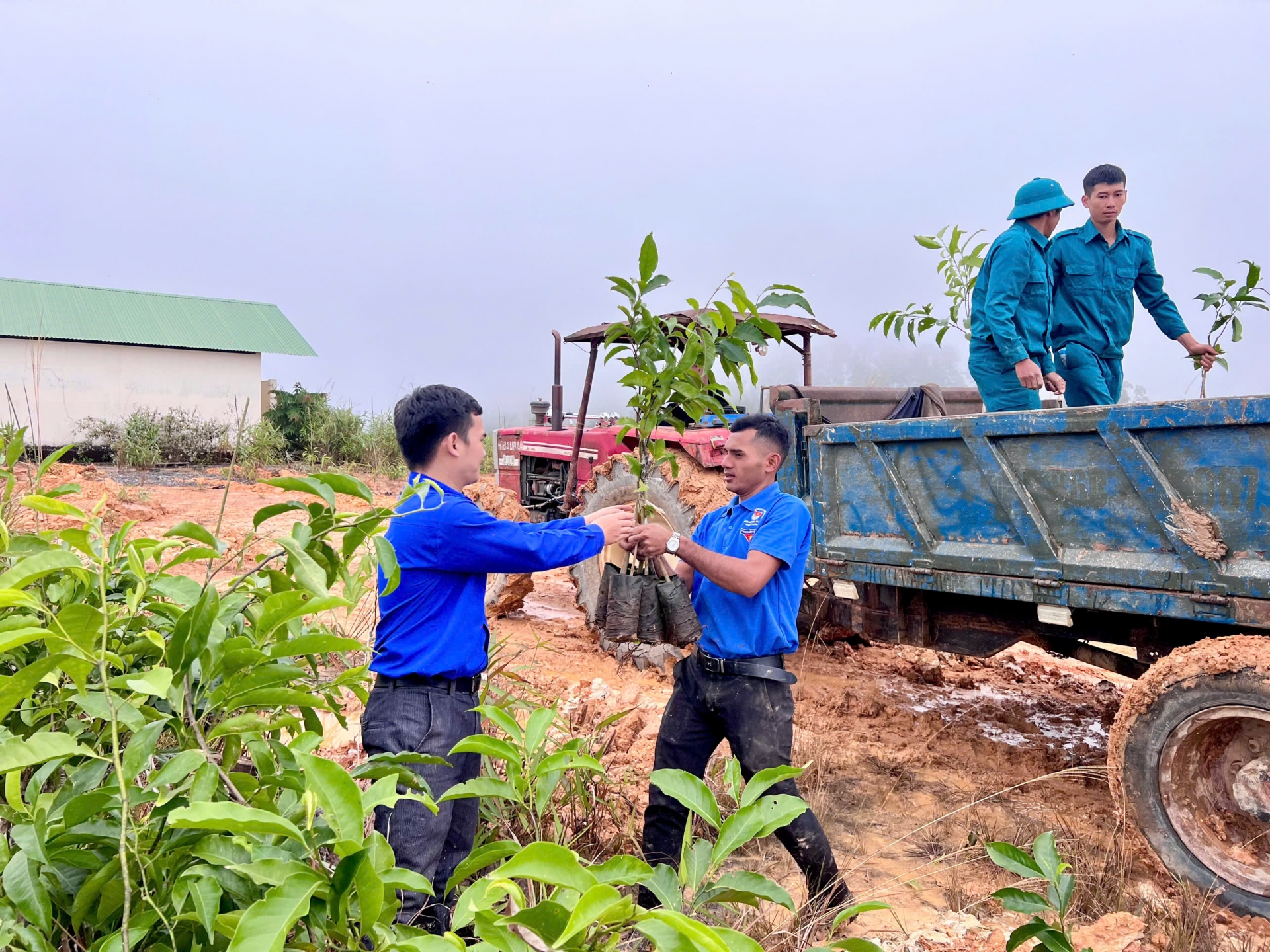 Tuổi trẻ Lâm Đồng ra quân trồng hơn 1.000 cây xanh hưởng ứng Festival Hoa Đà Lạt