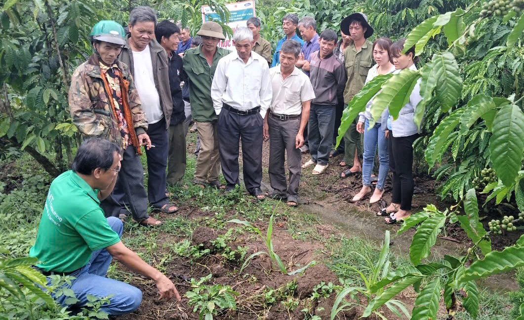 Hiệu quả từ các chương trình, dự án phi chính phủ 