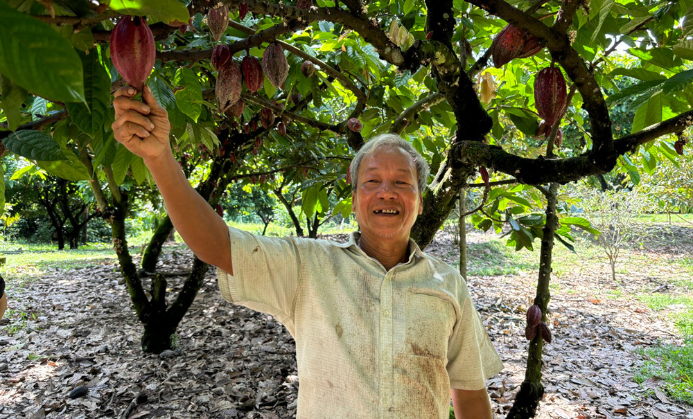 Bản Cacao liên kết xây dựng vùng nguyên liệu xuất khẩu Hàn Quốc