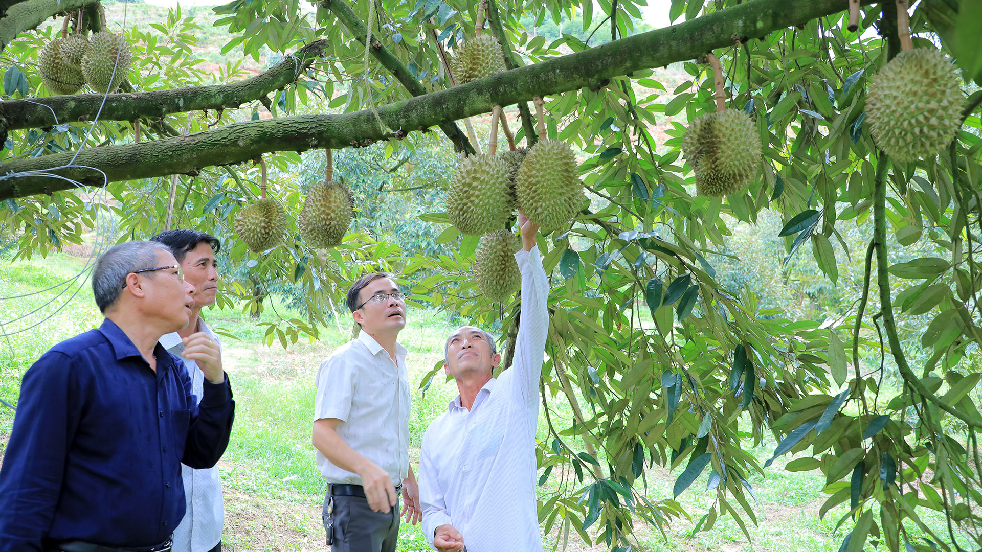 Cựu chiến binh Đam Rông với Phong trào Toàn dân bảo vệ an ninh Tổ quốc