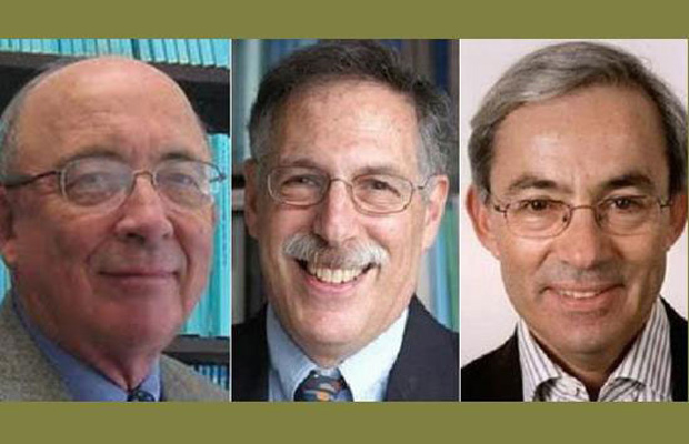 Giải Nobel Kinh tế 2010 chia cho 3 người
