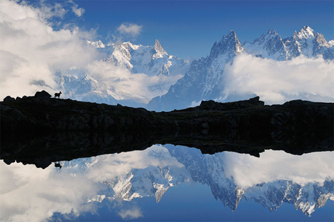 Sự tương phản sâu sắcvề hình khối và màu sắc trong bức ảnh chụp dãy núi Alps tại Pháp giúp nhiếp ảnh gia Jochen Schlenker (Đức) đoạt giải nhất thể loại "Động vật trong môi trường". Ảnh: Jochen Schlenker.