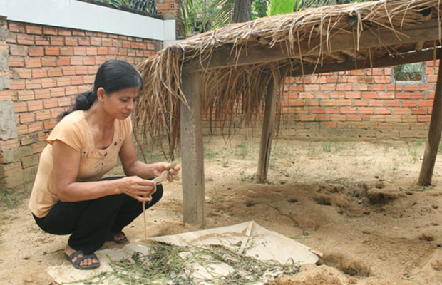 Nuôi nhông tại Đạ Tẻh