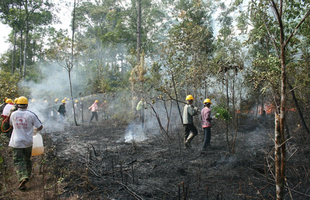 Nâng cao ý thức phòng chống cháy rừng