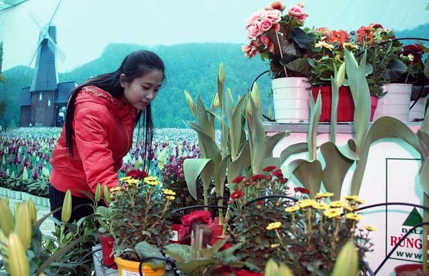 Đà Lạt: Khai trương showroom hoa tươi trị gía trên 1,5 tỷ đồng