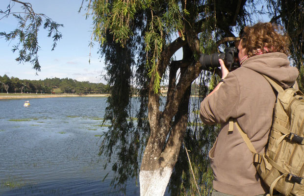 Thiên nga trên hồ là đề tài chụp ảnh của nhiều người.