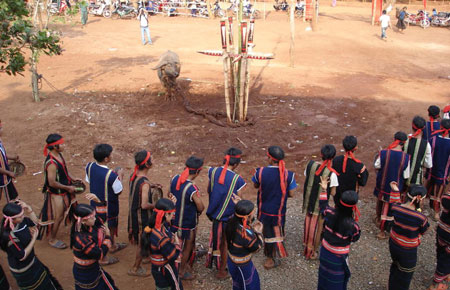 Người Tây Nguyên ăn tết