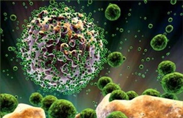 Australia tìm ra chìa khóa chữa căn bệnh HIV/AIDS