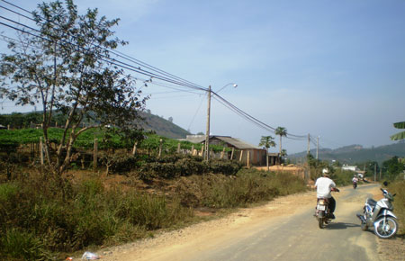 6 sao đất của cụ bà Lê Thị Hiếu hiến cho xã nằm dọc theo đường lộ trung tâm xã Nam Hà, Lâm Hà.