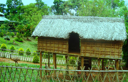Ngôi nhà sàn được phục dựng trong làng văn hóa Mạ. Ảnh: KD
