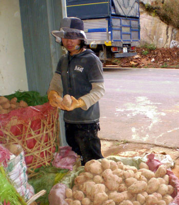 Trong vòng 3 tháng, thương lái thu mua khoai tây của nông dân  Xuân Thọ, Đà Lạt với giá từ 10 ngàn đồng đến 15 ngàn đồng mỗi ký