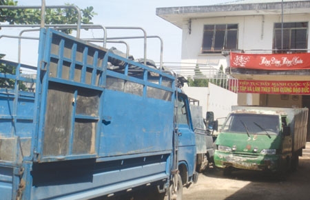 Các xe ô tô bị bắt giữ tại Hạt kiểm lâm Đạ Huoai.