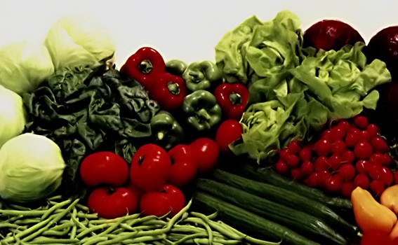 Kim ngạch xuất khẩu rau, hoa quả đạt hơn 500 triệu USD