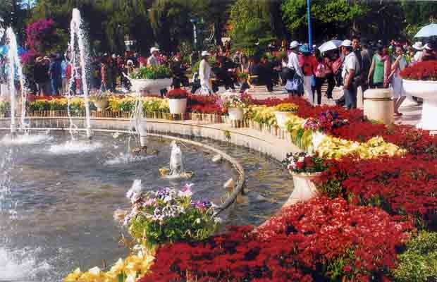 Một góc Vườn hoa thành phố Đà Lạt.