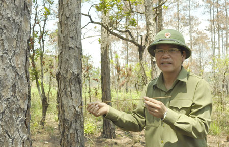 Đ/c Nguyễn Xuân Tiến trong một lần đi kiểm tra thực trạng rừng ở huyện Bảo Lâm