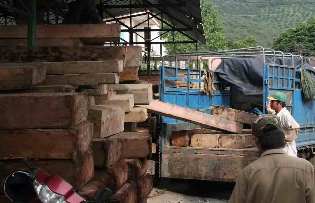Cơ quan chức năng Đạ Huoai thu hồi số gỗ vắng chủ chờ xử lý