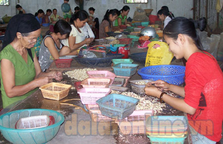 Tạo việc làm, tăng thu nhập cho hội viên là hoạt động xuyên suốt trong phong trào phụ nữ huyện Cát Tiên