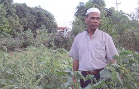 Lương y Thập Tấn trong vườn trồng cây thuốc ở làng An Nhơn