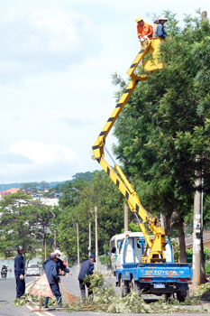 Công nhân Công tu Công trình đô thị Đà Lạt triển khai công tác chỉnh trang cây xanh đường phố
