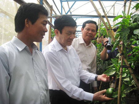 Đ/c Trương Tấn Sang về thăm mô hình trồng ớt công nghệ cao tại xã Nông thôn mới Tân Hội