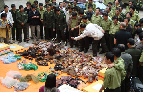 Miền Trung – Tây Nguyên: Công tác quản lý và bảo vệ rừng đã có những chuyển biến tích cực