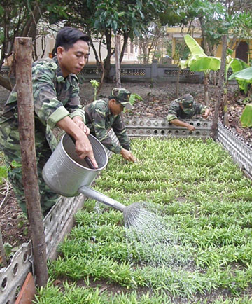 Trường Sa Lớn ngày thứ hai: sáng tăng gia chiều chống bão