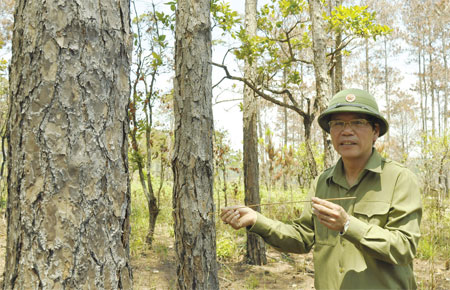 Là người sâu sát cơ sở, đồng chí Nguyễn Xuân Tiến - UVTW Đảng, Phó Bí thư Tỉnh ủy, Chủ tịch UBND tỉnh thường xuyên đi kiểm tra tình hình phát triển KT-XH ở các địa phương. Trong ảnh: Chủ tịch UBND tỉnh đi kiểm tra thực trạng rừng ở huyện Bảo Lâm