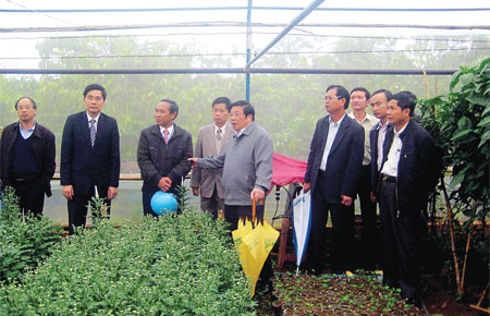 Lãnh đạo tỉnh thăm mô hình nông nghiệp công nghệ cao ở xã Tân Hội - Đức Trọng