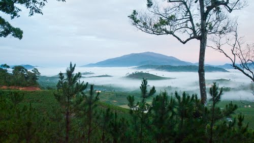 Phó Bí thư Tỉnh ủy làm việc về công tác quản lý, bảo vệ rừng