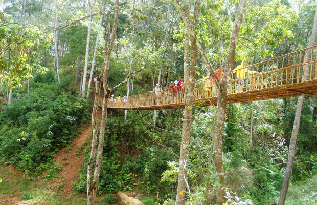 Du khách đi qua cầu treo trong Làng Cù Lần