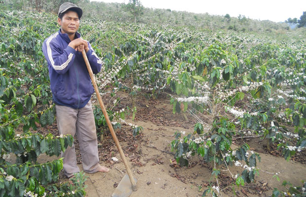 Thủ lĩnh Đoàn tiên phong xóa đói giảm nghèo