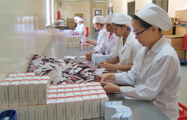 Sản xuất thuốc từ cây Actisô tại Công ty CP Dược Lâm Đồng (Ladophar).