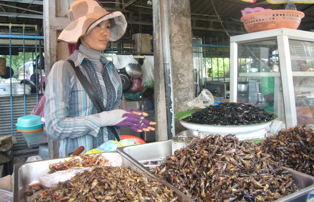 Côn trùng bày bán ở chợ