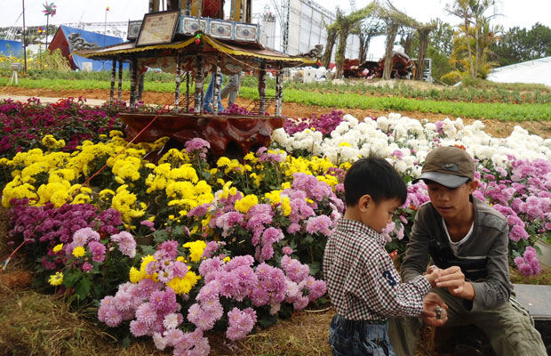 Nợ khó đòi ở Làng hoa Thái Phiên