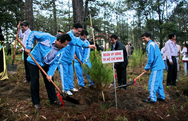 Đoàn Văn phòng UBND Tp Hồ Chí Minh trồng cây lưu niệm