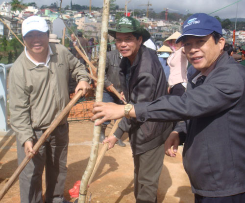 Trồng hàng ngàn cây xanh, hoa các loại