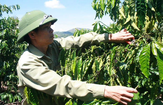 Người bệnh binh mẫu mực với ý tưởng góp cà phê xây nhà cho người nghèo