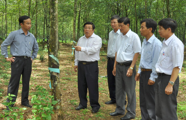 Bí thư Tỉnh ủy (thứ 2 bên trái) kiểm tra thực tế vườn cao su tiểu điền tại xã Đoàn Kết