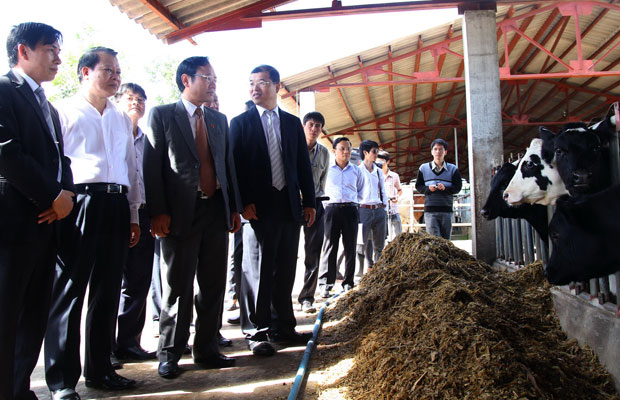 Phó Thủ tướng cùng đoàn công tác trao đổi với lãnh đạo Công ty CP bò sữa Đà Lạt