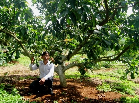 Nghiên cứu khoa học trên lĩnh vực nông nghiệp: Từ lý thuyết đến thực tiễn