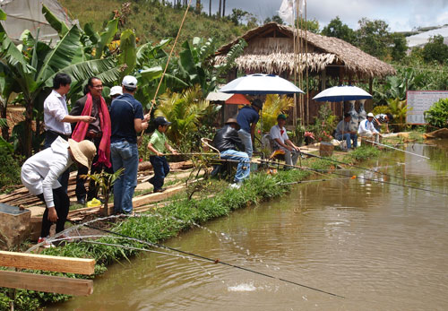 Câu cá hồ Thuỷ Quái