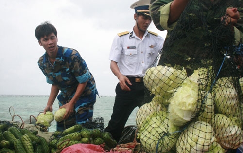 Rau, củ, quả cập đảo an toàn