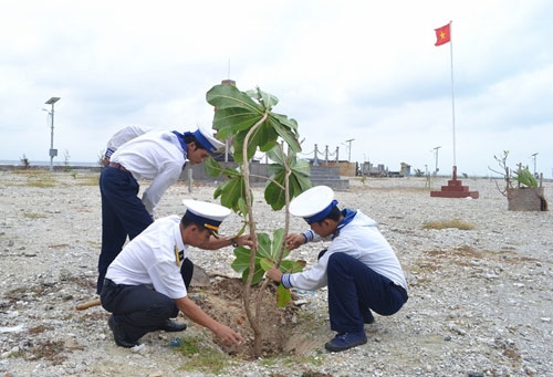 Cán bộ, chiến sỹ đảo Phan Vinh trồng thêm cây bàng vuông trên đảo