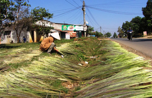 “Lộc” rừng