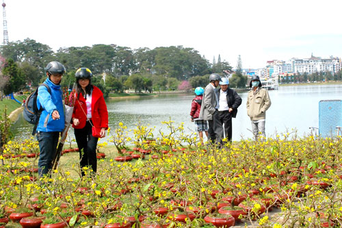 Đà Lạt vào xuân - Ảnh: Minh Ngọc