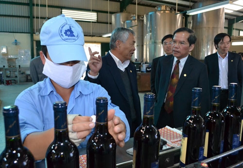 Chủ tịch tỉnh thăm và làm việc tại Nhà máy rượu vang Đà Lạt