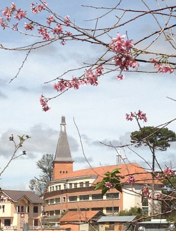 Trường Grand Lycée Yersin (Cao đẳng Sư phạm)